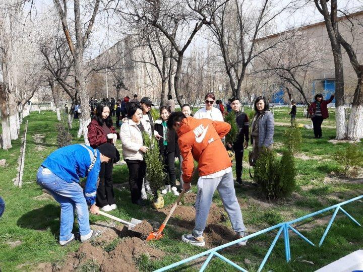 Тараз қаласы, №47 орта мектептің мектеп түлектері «Мектебіңе тал сыйла!» акциясы аясында мектеп ауласына шыршалар,  ағаштар  отырғызды. Акцияға мектеп түлектері түгел қатысты.